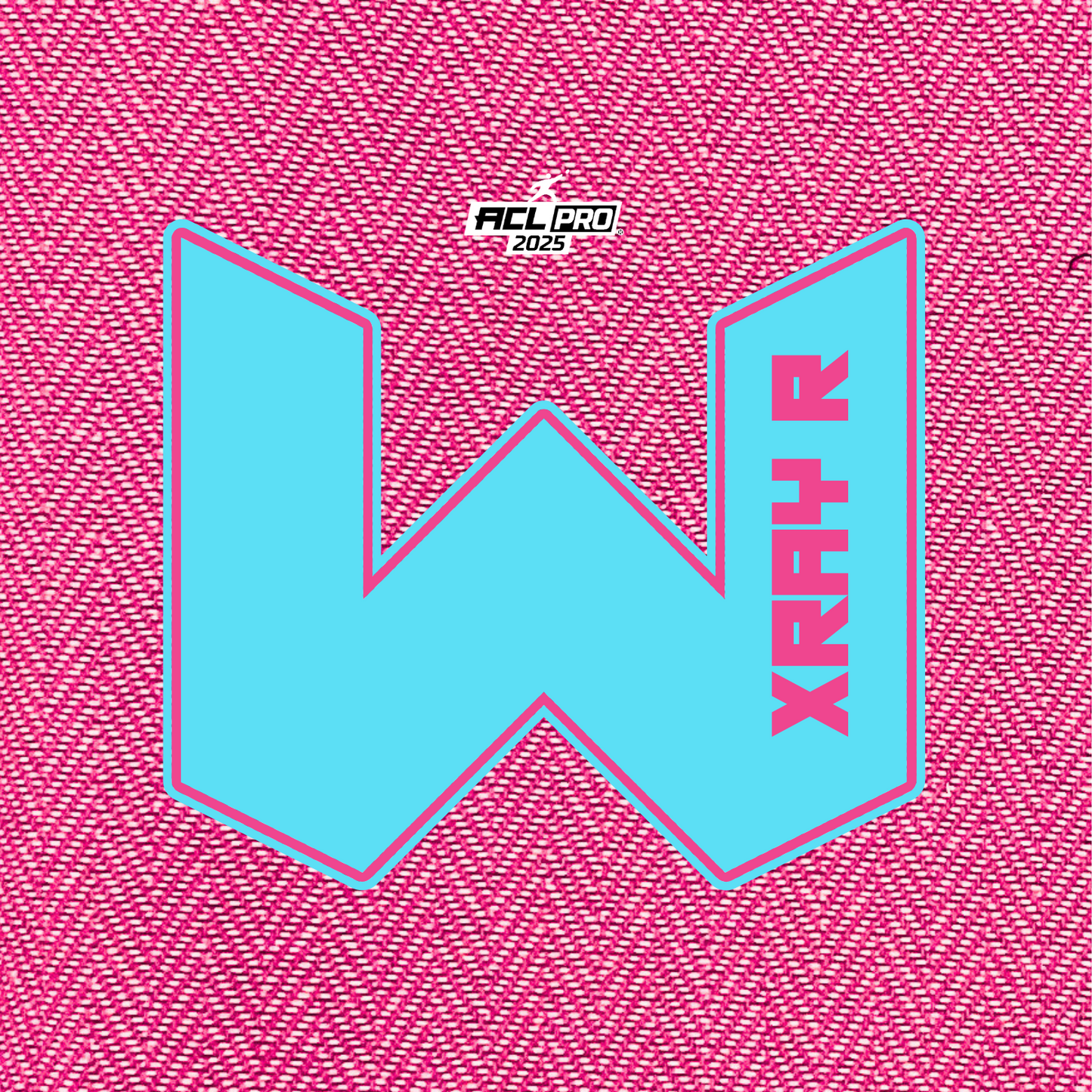 2026 WTF X-RAY Pink carpet - ACL Pro Stamped Cornhole Bags - Set of 4 bags