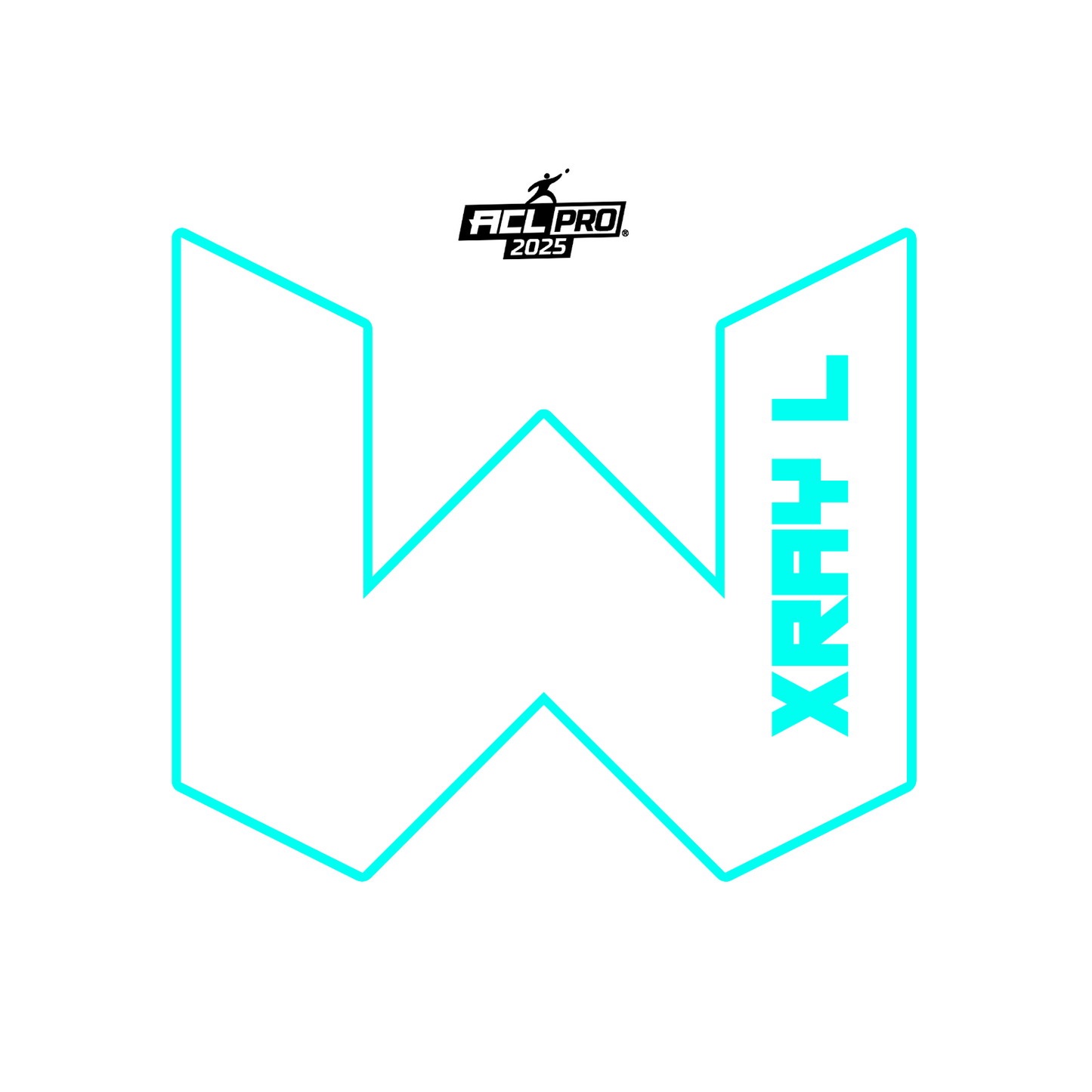 2026 WTF X-RAY Aqua carpet - ACL Pro Stamped Cornhole Bags - Set of 4 bags