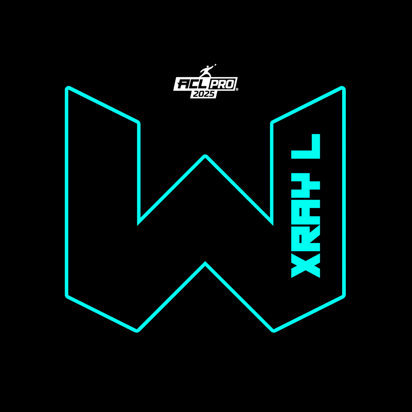 2026 WTF X-RAY Aqua carpet - ACL Pro Stamped Cornhole Bags - Set of 4 bags