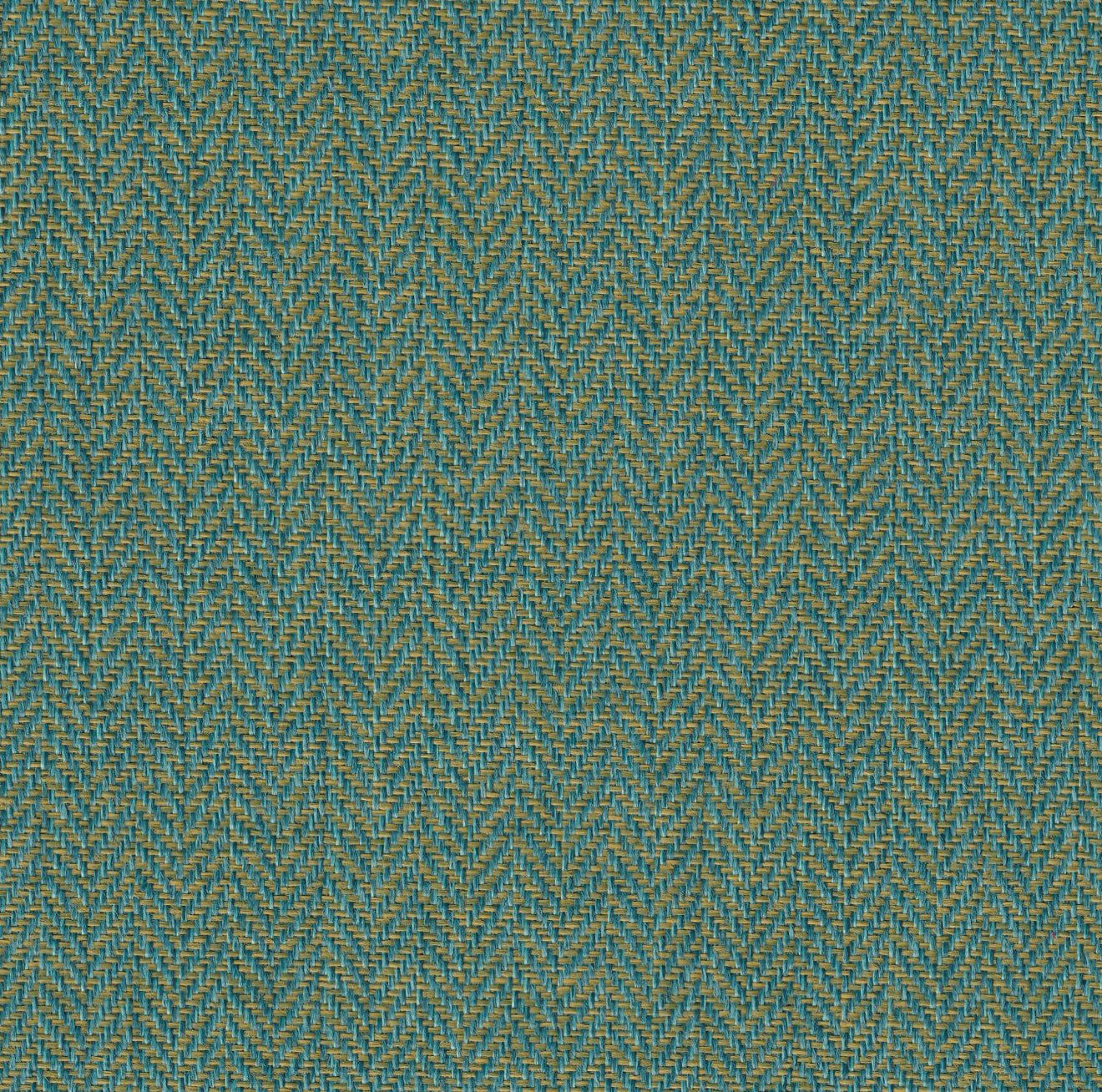 BG Cornhole Wizard - DB Goo Edition