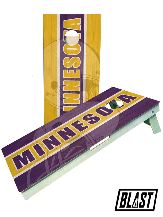 Minnesota Football Team Cornhole Boards, ACL Regulation,