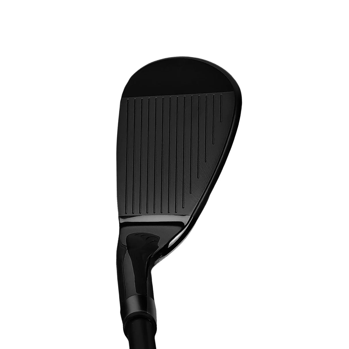 Carver 02