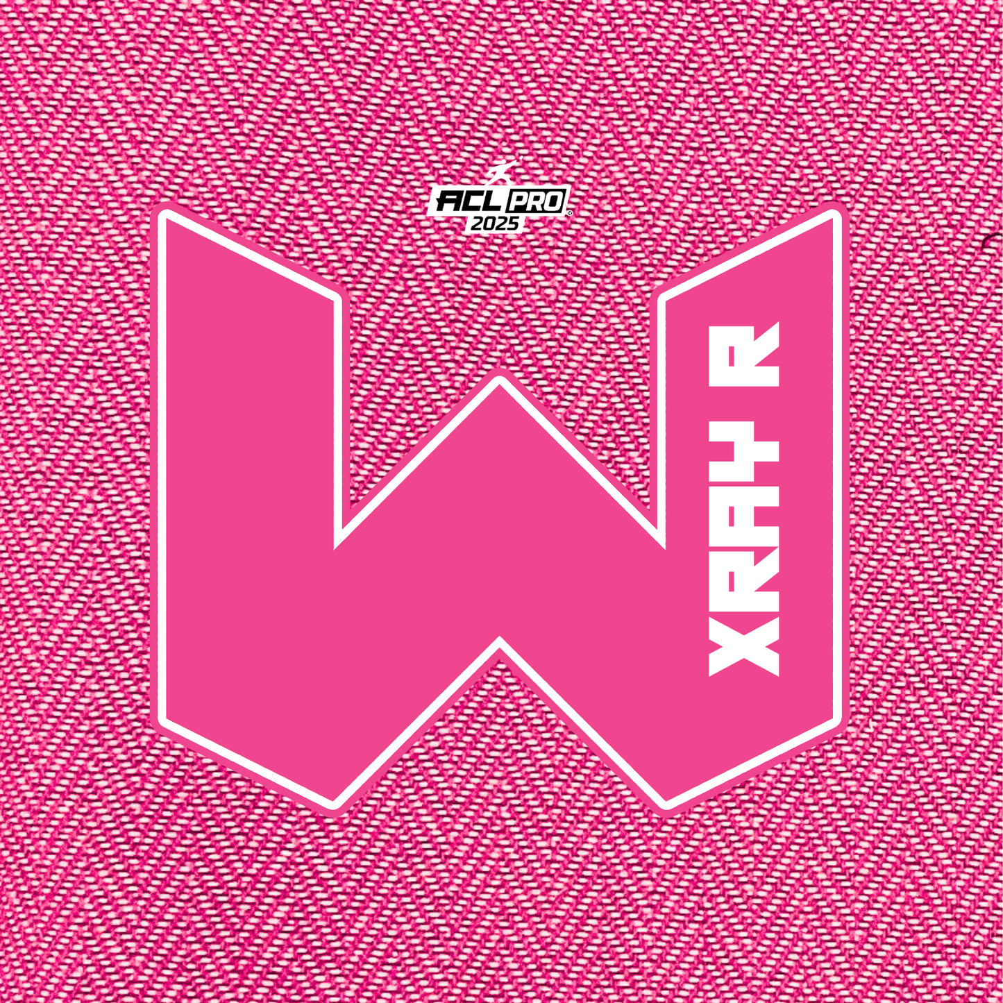 2026 WTF X-RAY Pink carpet - ACL Pro Stamped Cornhole Bags - Set of 4 bags