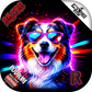 Podium PRO | Australian Party Animals