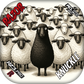 Knuckle PRO | Black Sheep