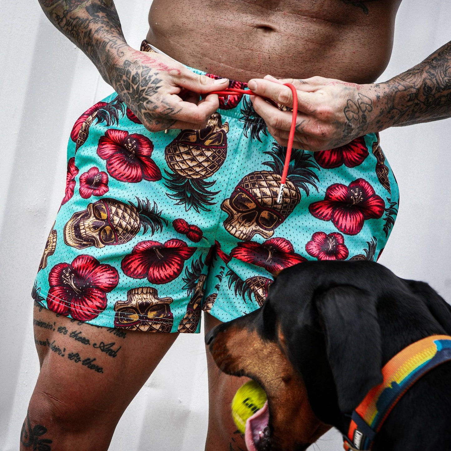 Original Mesh Training / Lifestyle Shorts | 5"