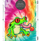 Sucker Frog