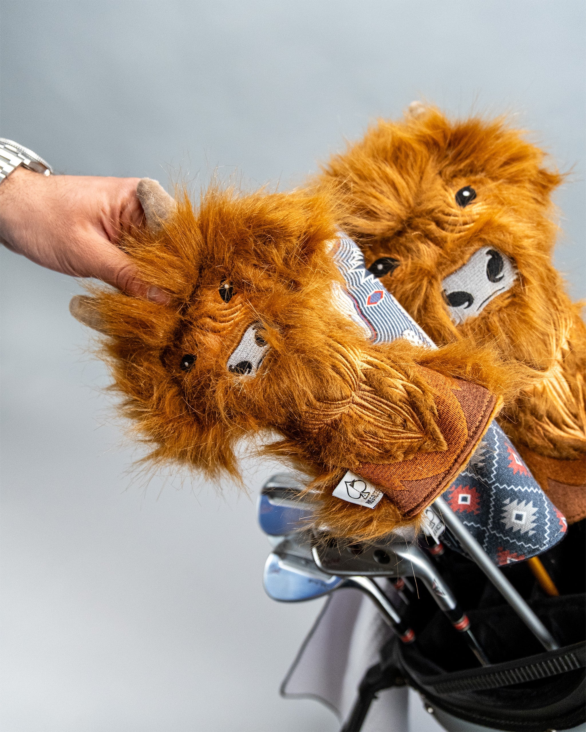 Pins and Aces Highland Cow Hybrid Cover - Thumbnail 3
