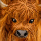 Highland Cow - Mallet Putter Cover