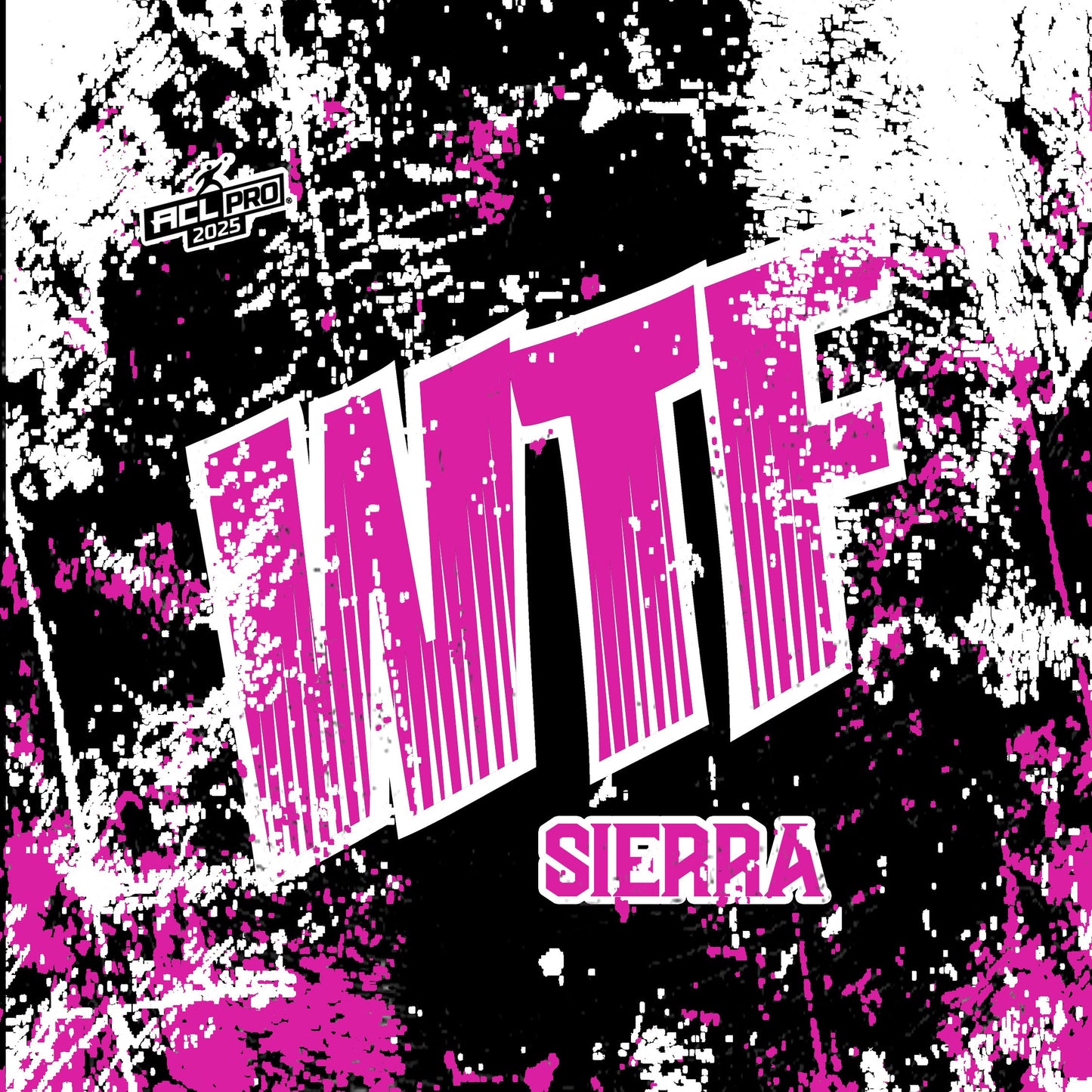 2026 WTF Sierra - ACL Pro Stamped Cornhole Bags - Set of 4 bags