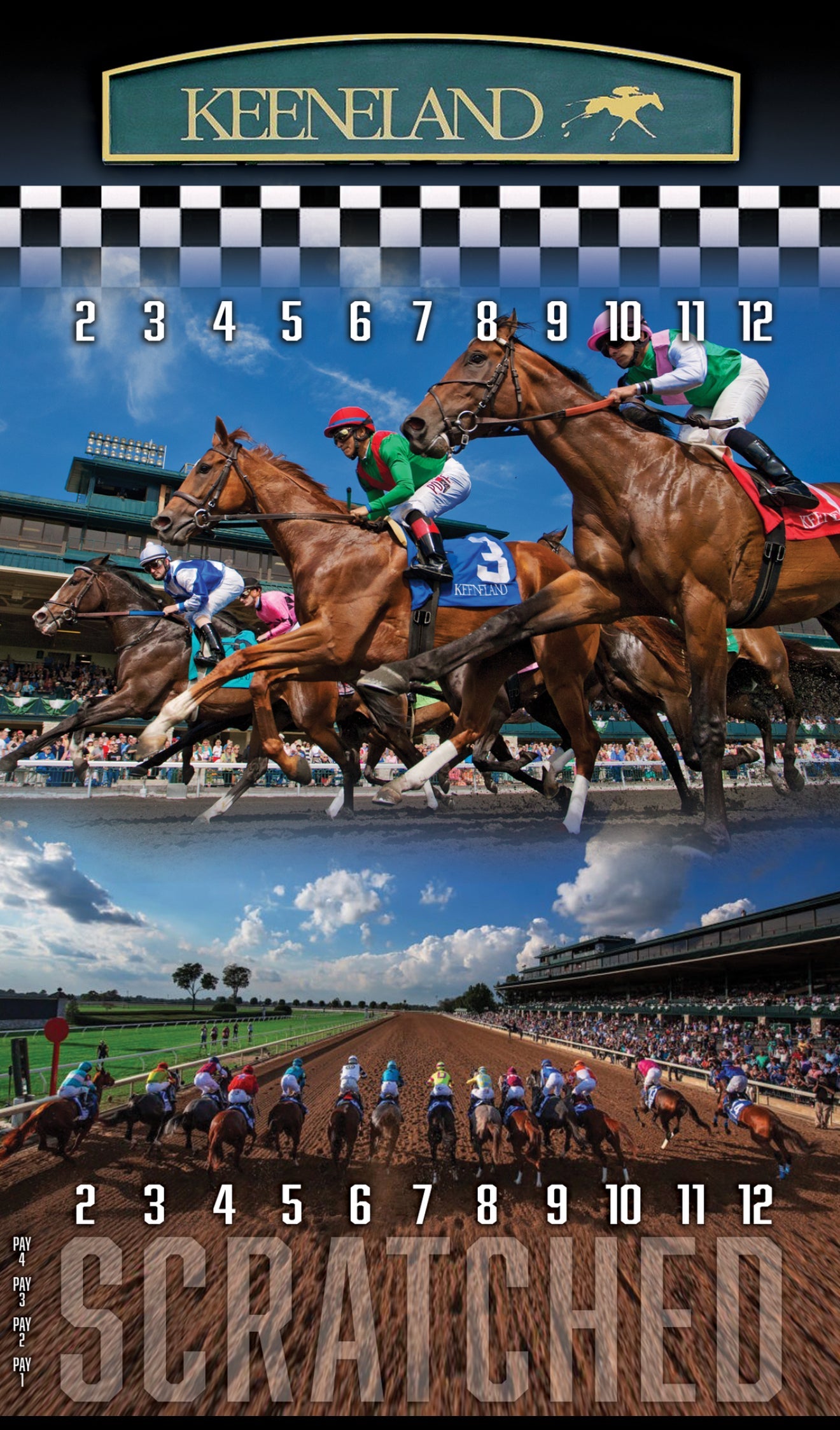 XL Brown Striped Track Horse Race Party Game - New Heavy Duty Metal Horse Numbered 2-12