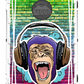 Chimp Headphones