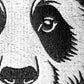 Panda - Fairway Cover