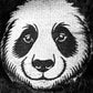 Panda - Hybrid Cover