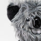 Koala - Driver Cover