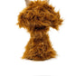 Highland Cow - Hybrid Cover