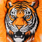 Tiger - Driver Cover