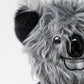 Koala - Driver Cover