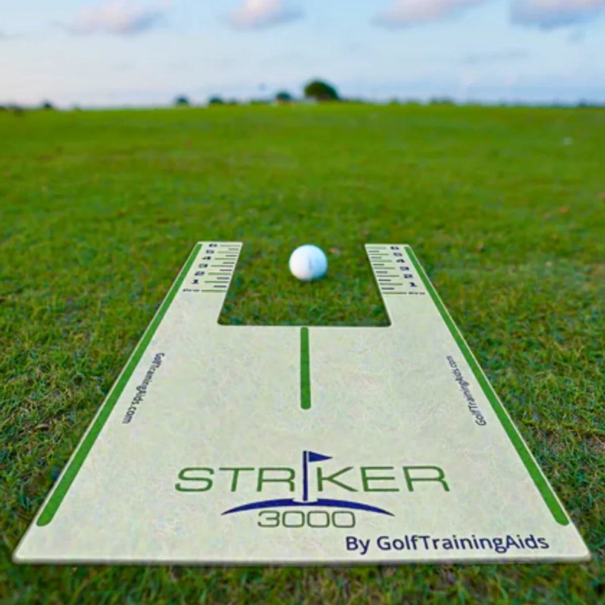 Striker 3000 Golf Strike Board