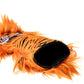 Tiger - Hybrid Cover