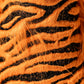 Tiger - Hybrid Cover