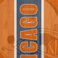 Chicago Football Team Cornhole Boards, ACL Regulation, Illinois Tailgate Games