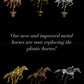 The Horse Race Game Plain or Custom Theme