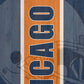 Chicago Football Team Cornhole Boards, ACL Regulation, Illinois Tailgate Games