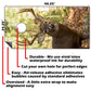 Deer In The Woods - Cornhole Board Wrap - Set of 2